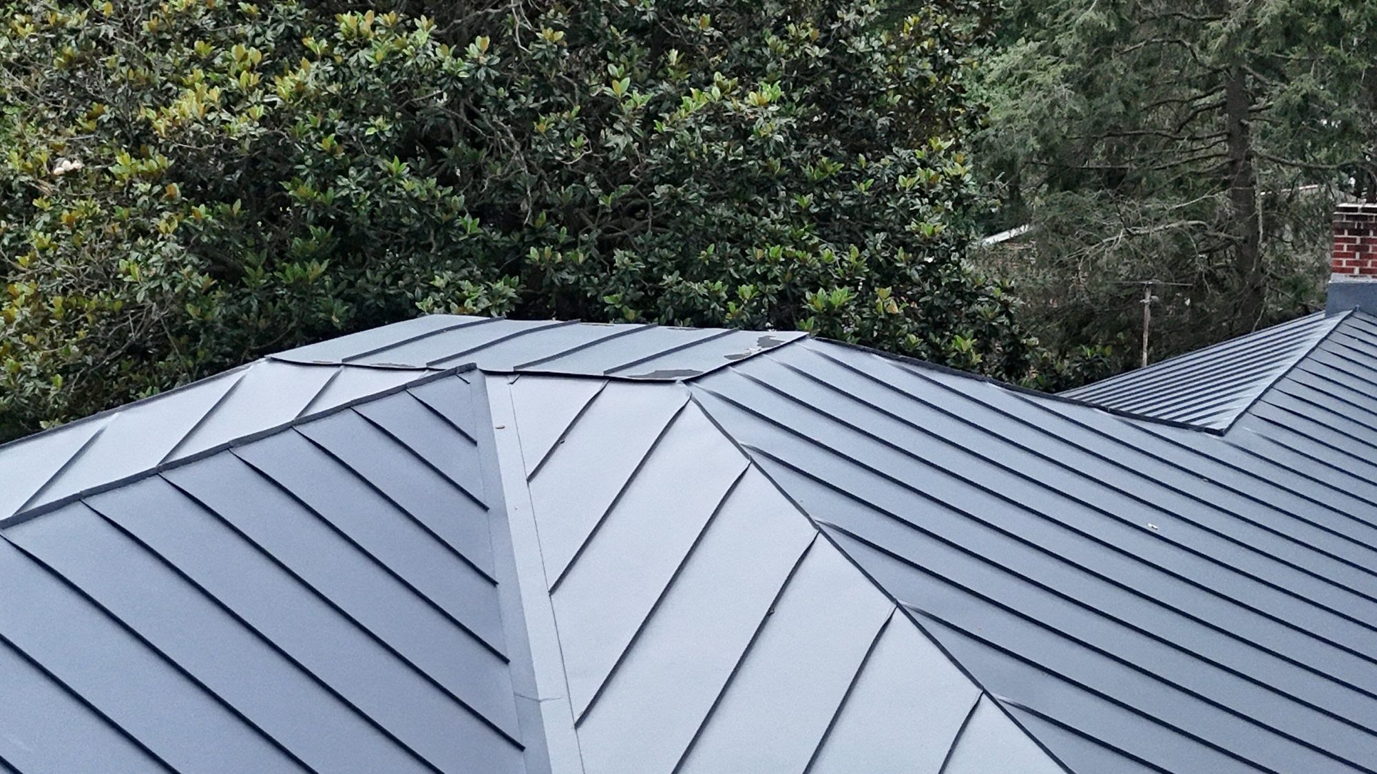 Gray hip roof surrounded by trees